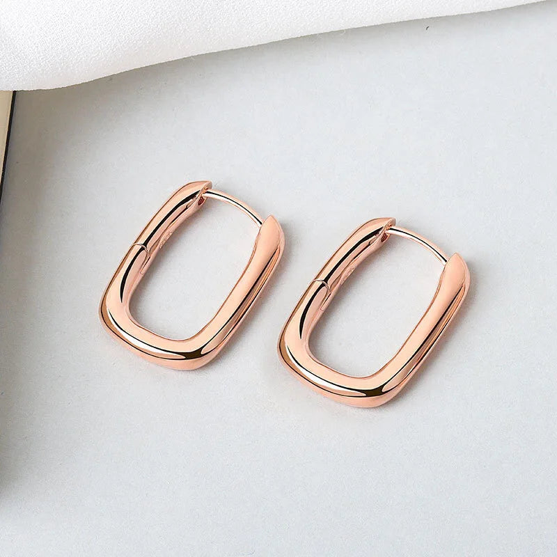 925 Sterling Silver Long Zircon Ear Buckle Fashion Simple Style Women Earrings Birthday Party Gift Fine Jewelry