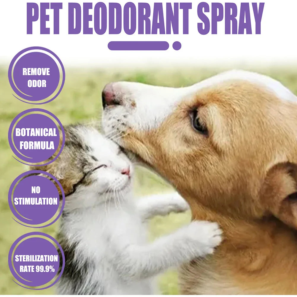 Lavender Oil Dog Deodorizer Spray Long Lasting Puppies Cats Dogs for Smelly Deodorizing Perfume Spray Remove Odor Freshing Air