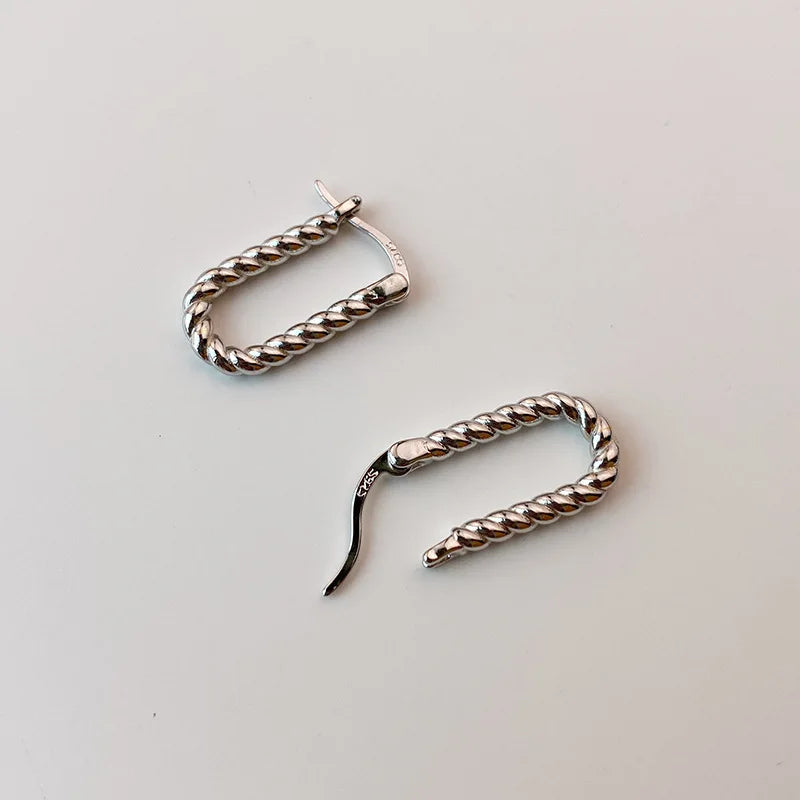 925 Sterling Silver Long Zircon Ear Buckle Fashion Simple Style Women Earrings Birthday Party Gift Fine Jewelry